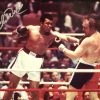Iconsofboxing.com Chuck Wepner Vs Muhammad Ali Autographed Signed 8x10 Boxing Photo
