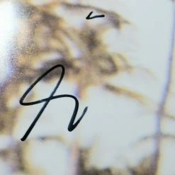 Iconsofboxing.com Al Pacino Signed Autographed 11X14 Photo Scarface Tony Pointing Gun GV718357