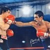 Iconsofboxing.com Alexis Arguello Signed 16x20 Boxing Photo Vs. Ray Mancini PSA/DNA TOP FIGHTERS