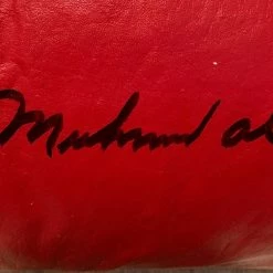 Iconsofboxing.com TOP FIGHTERS Muhammad Ali Signed Autographed Signed Vintage Everlast Gloves SSG COA