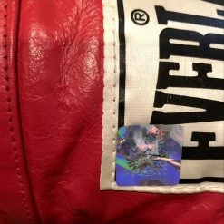 Iconsofboxing.com TOP FIGHTERS Muhammad Ali Signed Autographed Signed Vintage Everlast Gloves SSG COA