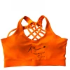 Iconsofboxing.com Amanda Serrano Vs Katie Taylor. Hand Signed Autographed Fight Worn Sports Bra