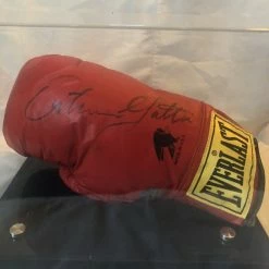 Iconsofboxing.com TOP FIGHTERS Arturo