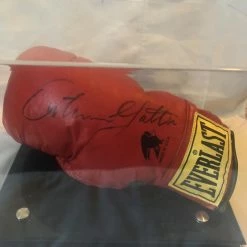 Iconsofboxing.com TOP FIGHTERS Arturo