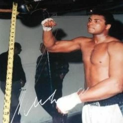 Iconsofboxing.com Muhammad Ali Signed Color 30 X 40 Size Speed Bag Photo Online Authentics