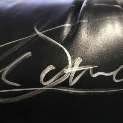 Iconsofboxing.com TOP FIGHTERS Canelo Alvarez Autographed Signed Silver Everlast Black Boxing Glove