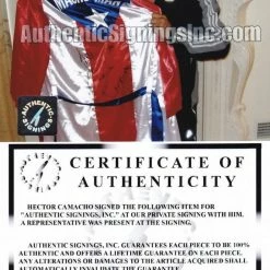 Iconsofboxing.com Hector