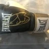 Iconsofboxing.com Canelo Alvarez Autographed Signed Pro Gloves With Display Case COA TOP FIGHTERS