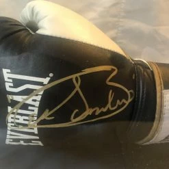 Iconsofboxing.com Canelo Alvarez Autographed Signed Pro Gloves With Display Case COA TOP FIGHTERS