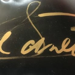 Iconsofboxing.com Canelo Alvarez Autographed Signed Gold Everlast Black Boxing Glove TOP FIGHTERS