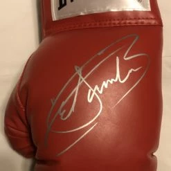Iconsofboxing.com TOP FIGHTERS Canelo Alvarez Red Everlast Autographed Silver Signed Boxing Glove JSA.