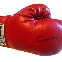 Iconsofboxing.com Cassius Clay Autographed Everlast Boxing Glove With A Bold Signature And S.O.P Certified