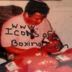Iconsofboxing.com BOXING MEMORABILIA Cassius Clay Autographed Boxing Glove With SSG Certification Right Hand Glove