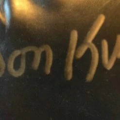 Iconsofboxing.com Hall Of Famer Don King Autographed Black Everlast Boxing Glove With A Rare Gold Signature. BOXING MEMORABILIA