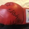 Iconsofboxing.com TOP FIGHTERS Edgar Berlanga Rare Autographed Signed Everlast Red/BLK Horizontal Boxing Gloves Display.
