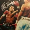Iconsofboxing.com Felix "Tito" Trinidad Signed Silver Autographed 8x10 Boxing Photo JSA
