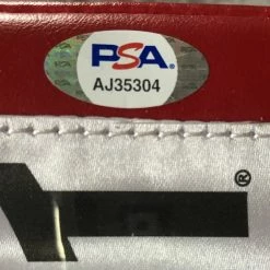 Iconsofboxing.com TOP FIGHTERS Floyd Mayweather Jr. Autographed Gold Grant Signed Boxing Glove PSA/DNA