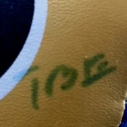 Iconsofboxing.com TOP FIGHTERS Floyd Mayweather Jr. Autographed Gold Grant Signed Boxing Glove PSA/DNA