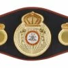 Iconsofboxing.com Floyd Mayweather Jr. Signed Full-Size WBA Championship Belt (Beckett COA)