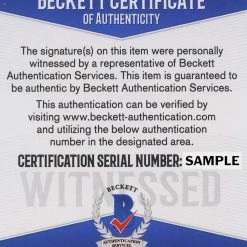 Iconsofboxing.com Floyd Mayweather Jr. Signed Full-Size WBA Championship Belt (Beckett COA)