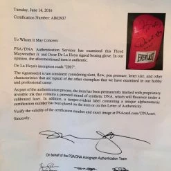 Iconsofboxing.com Floyd Mayweather Jr. And Oscar De La Hoya Autographed Boxing Glove, Authentic PSA