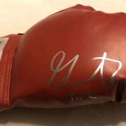 Iconsofboxing.com TOP FIGHTERS Gervonta Tank Davis Autographed Signed Red Silver Everlast Boxing Glove Rare!