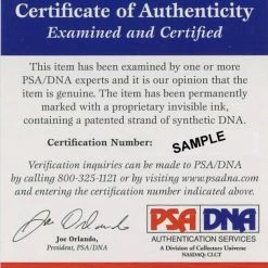 Iconsofboxing.com Floyd Mayweather Jr. Signed TBE Photo Boxing Glove (PSA COA)