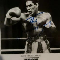 Iconsofboxing.com Hector
