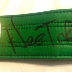 Iconsofboxing.com TOP FIGHTERS Hector