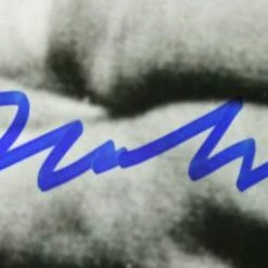 Iconsofboxing.com BOXING MEMORABILIA Muhammad Ali And Hank Arron Dual Signed Autographed 16 X 20 Photo, Steiner, MLB, OA