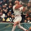 Iconsofboxing.com IVAN PUDGE RODRIGUEZ Signed Autographed 8 X 10 Photo JSA COA BOXING MEMORABILIA