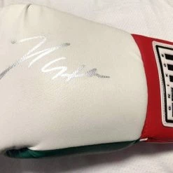 Iconsofboxing.com TOP FIGHTERS Julio Cesar Chavez Sr. Silver Signed Autographed Mexican Flag Boxing Glove