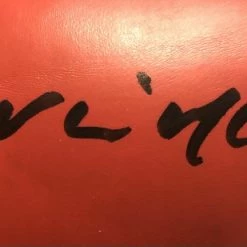 Iconsofboxing.com Kevin McBride Signed Autographed Red And Black Everlast Boxing Glove