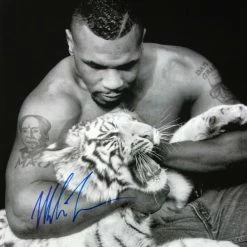 Iconsofboxing.com Mike Tyson Autographed Signed 16x20 Photo W/ White Tiger ASI Proof