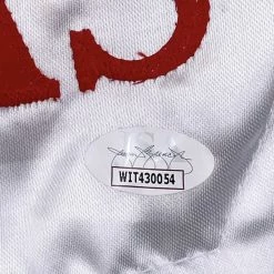 Iconsofboxing.com Buster Douglas Signed Boxing Shorts (JSA COA)