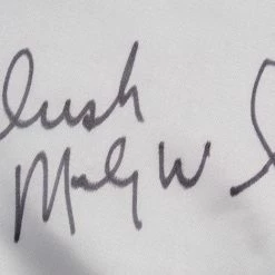 Iconsofboxing.com Micky "Irish" Ward Signed Boxing Trunks (JSA COA)