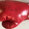 Iconsofboxing.com Roy Jones Jr. Everlast Signed Autographed Red Boxing Glove Certified Photo Proof. TOP FIGHTERS