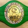 Iconsofboxing.com Sugar Ray Leonard Autographed MIni 31" WBC Championship Full Boxing Belt TOP FIGHTERS