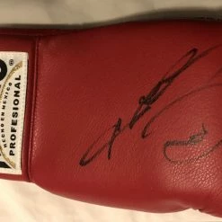 Iconsofboxing.com Sugar Ray Leonard Signed Autographed Reyes Boxing Glove
