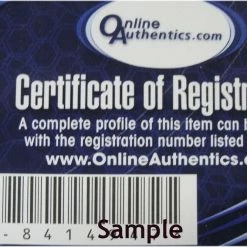 Iconsofboxing.com TOP FIGHTERS Sylvester Stallone Hand Signed Autographed Black Everlast Boxing Glove OA COA