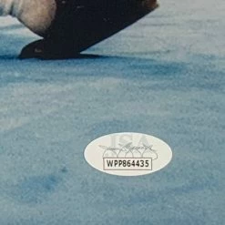 Iconsofboxing.com Mike Tyson Signed 12x24 Panoramic Knock Out Photo JSA ITP TOP FIGHTERS