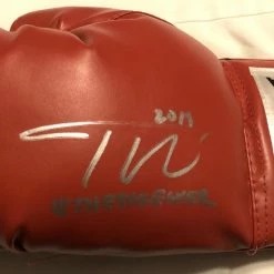 Iconsofboxing.com Teofimo Lopez Autographed Silver Signed Everlast Rare Boxing Glove Certified TOP FIGHTERS