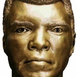 Iconsofboxing.com Muhammad Ali Gold Face Cast, Highly Detailed Rare Display Item BOXING MEMORABILIA