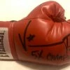 Iconsofboxing.com TOP FIGHTERS Vinny Paz Pazienza Signed Autographed Boxing Glove 5X World Champ 2020