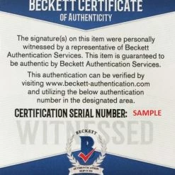 Iconsofboxing.com Floyd Mayweather Jr. Signed Custom Boxing Trunks (Beckett COA)