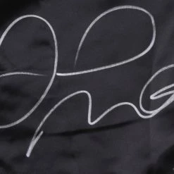 Iconsofboxing.com Floyd Mayweather Jr. Signed Custom Boxing Trunks (Beckett COA)