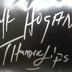 Iconsofboxing.com Hulk Hogan Signed Everlast Boxing Glove Inscribed "Thunder Lips" (JSA COA) BOXING MEMORABILIA
