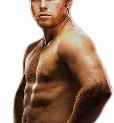 Iconsofboxing.com Floyd Mayweather Jr. Vs Canelo Signed 16x20 Photo (Beckett COA) TOP FIGHTERS