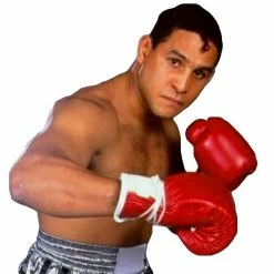 Iconsofboxing.com Hector