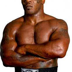 Iconsofboxing.com Mike Gerald Tyson Autographed Red Everlast Boxing Glove Steiner Sports Certified BOXING MEMORABILIA